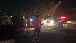 Angin kencang yang melanda Aceh Besar menjelang magrib tadi, Selasa (10/6) membuat pohon tumbang menimpa kabel listrik di sejumlah titik, salah satunya di Krueng Barona Jaya. (Foto: Ist)