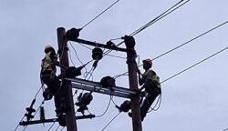 PLN ULP Calang bergerak cepat melakukan penguatan jaringan distribusi guna meningkatkan keandalan sistem kelistrikan di Aceh Jaya. (Foto: Ist)