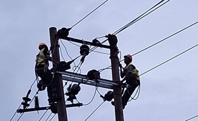PLN ULP Calang bergerak cepat melakukan penguatan jaringan distribusi guna meningkatkan keandalan sistem kelistrikan di Aceh Jaya. (Foto: Ist)