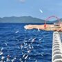 Wakapolda Aceh Brigjen Pol Ari Wahyu Widodo memimpin upacara tabur bunga di laut perairan Sabang dalam rangka Hari Bhayangkara ke-79 di atas Kapal Polisi Wisanggeni 8005, Senin, 23 Juni 2025. (Foto: Ist)