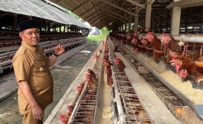 Bupati Aceh Besar Muharram Idris mengunjungi peternakan ayam petelur “Edi Kandang” milik seorang peternak lokal, Edi, yang berlokasi di Gampong Cot Suruy, Kecamatan Ingin Jaya, Senin (23/6/2025). (Foto: Ist)