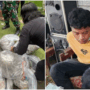 Terungkap Motif Pelaku Mutilasi di Padang Pariaman, Tubuh Korban Dipotong dengan Parang jadi 10 Bagian