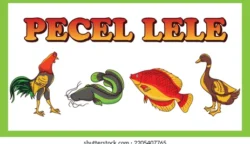Penjual pecel lele di trotoar pinggir jalan ternyata berpotensi dijerat dengan Undang-Undang Tindak Pidana Korupsi (UU Tipikor)
