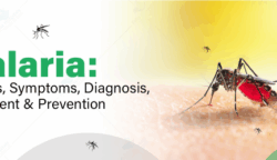 Presiden Serukan Gerakan Nasional Basmi Malaria dari Indonesia