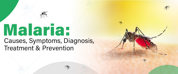 Presiden Serukan Gerakan Nasional Basmi Malaria dari Indonesia