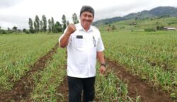 Prihasto Setyanto