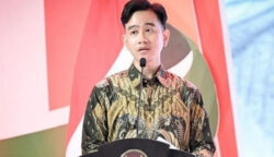 PDIP Dukung Gibran Berkantor di Papua: Bagus Sekali!
