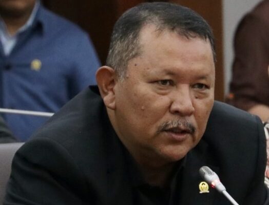 Anggota Komisi V DPR RI, Irmawan