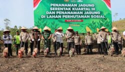Polda Aceh mengerahkan ratusan alsintan dalam kegiatan penanaman jagung serentak kuartal III, di Desa Suka Damai, Kecamatan Lembah Seulawah, Aceh Besar, Rabu, 9 Juli 2025. (Foto: Ist)