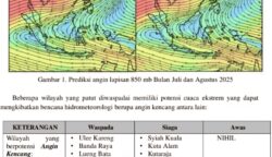 BMKG Stasiun Meteorologi Kelas I Sultan Iskandar Muda Banda Aceh mengeluarkan peringatan dini potensi angin kencang di sejumlah wilayah Banda Aceh dan sekitarnya selama periode Juli - Agustus 2025. (Foto: Ist)