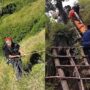 Kisah Agam Rinjani: Kisah Relawan Ikonik, Perjuangan Evakuasi, Hingga Kritik Sistem Pendakian Rinjani
