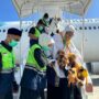 Jamaah Haji Aceh kloter 08 tiba di Bandara SIM, Blang Bintang, Aceh Besar, Sabtu, 5 Juli 2025. (Foto: Ist)