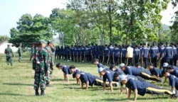 Militerisasi